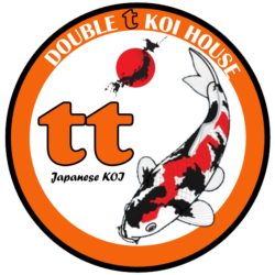 TT Koi House