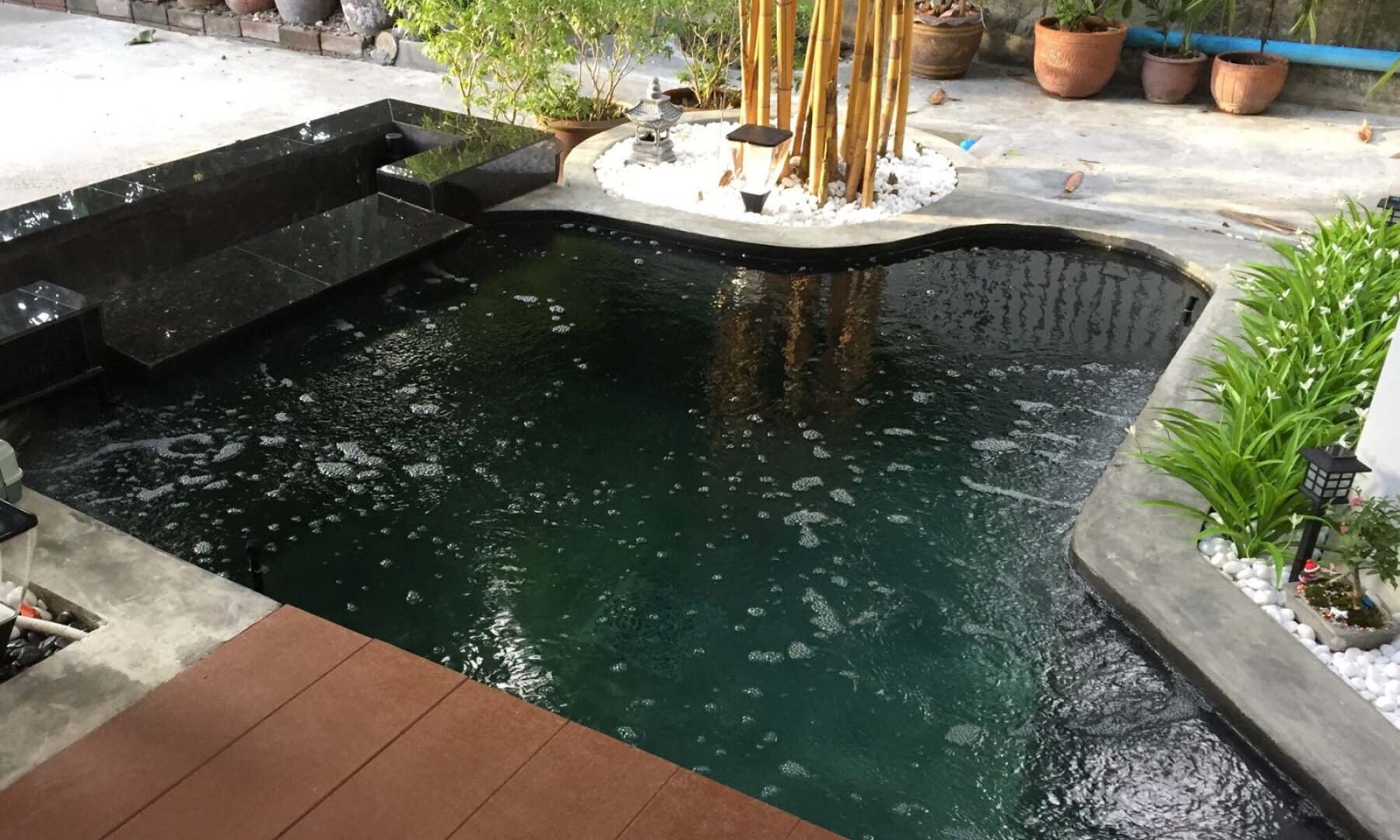 cropped-tt_koi_pond_01.jpg