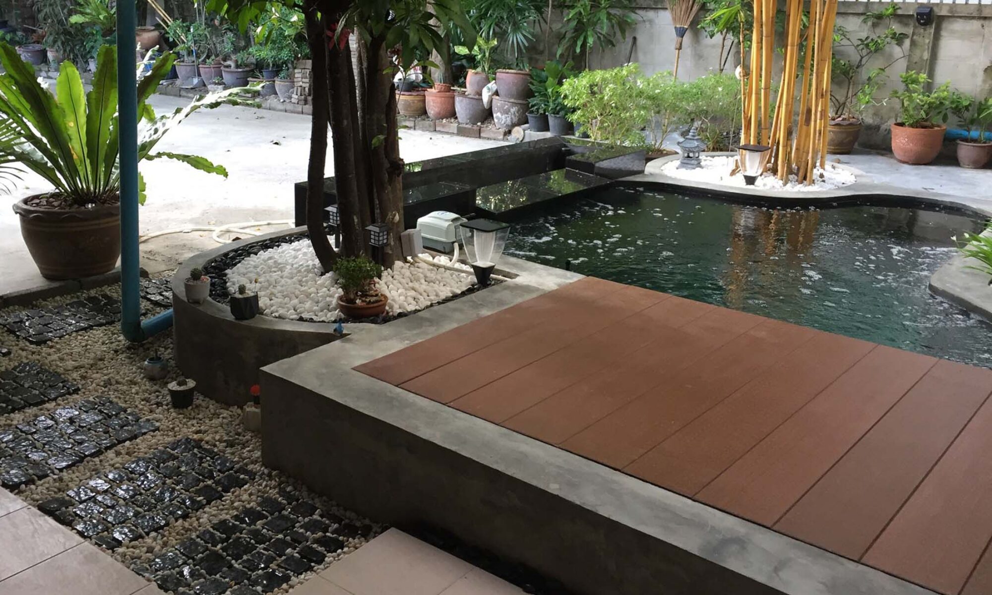 cropped-tt_koi_pond_02.jpg