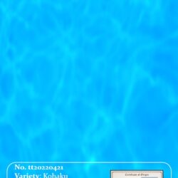 tt20220416