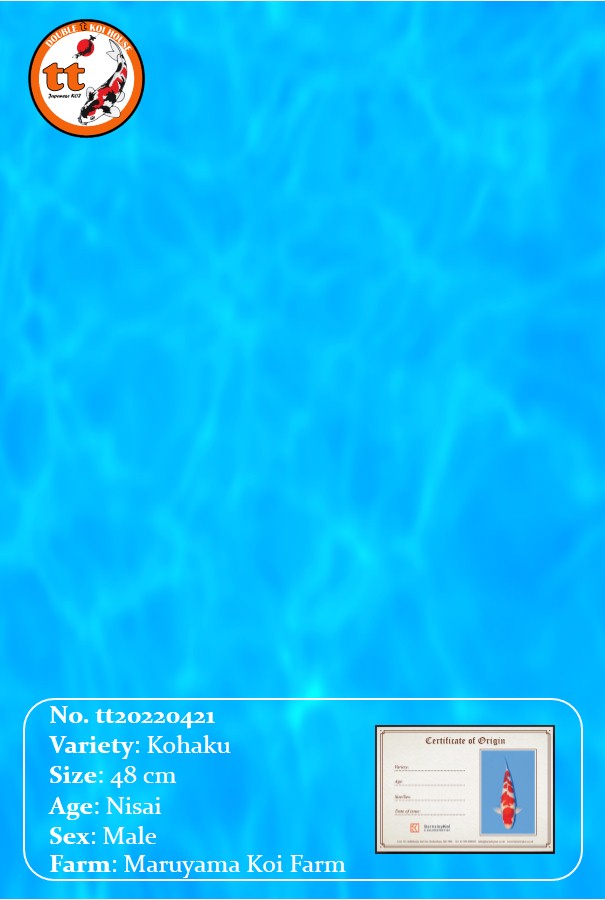 tt20220416